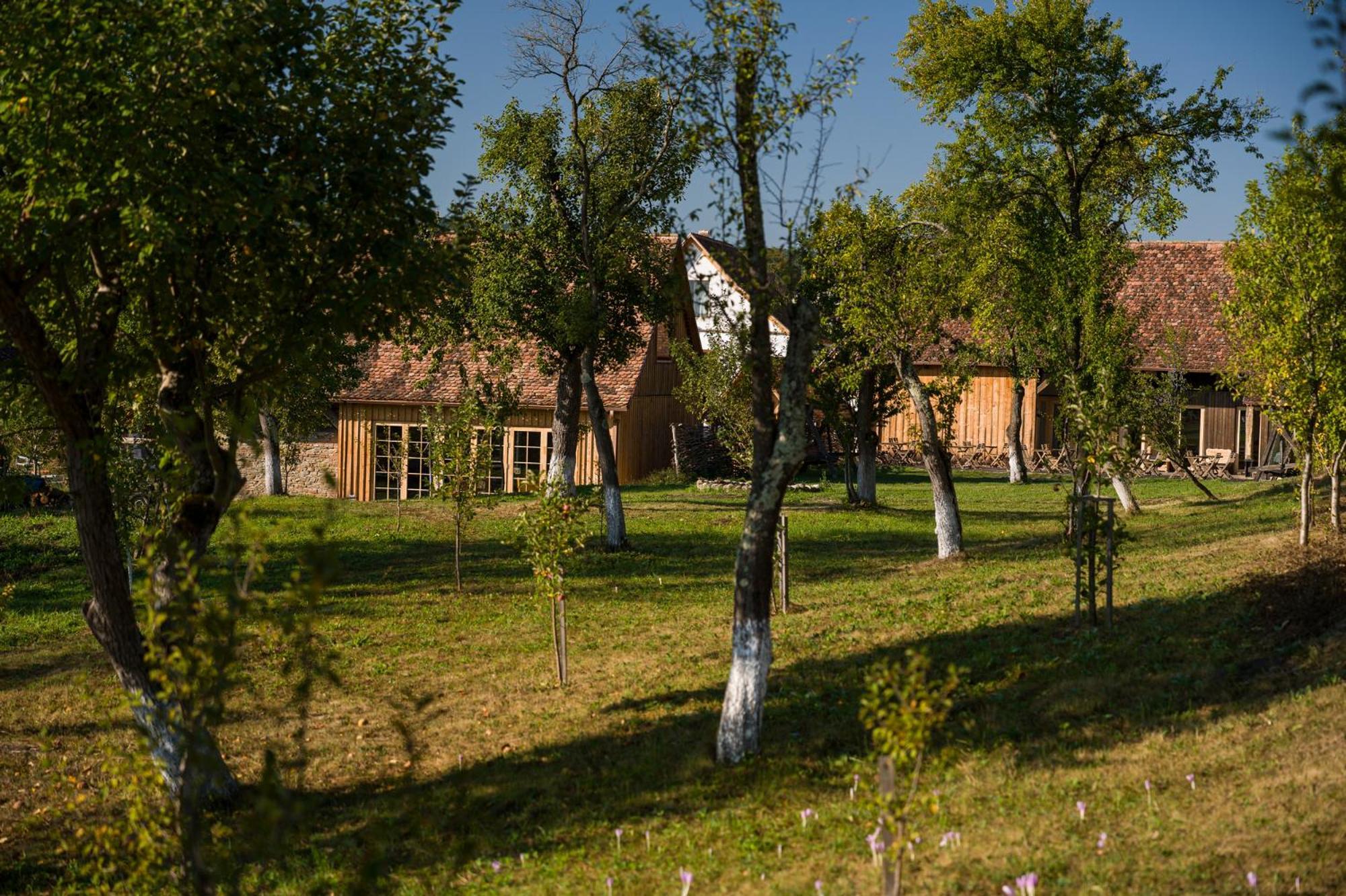Mesendorf Gasthaus Εξωτερικό φωτογραφία